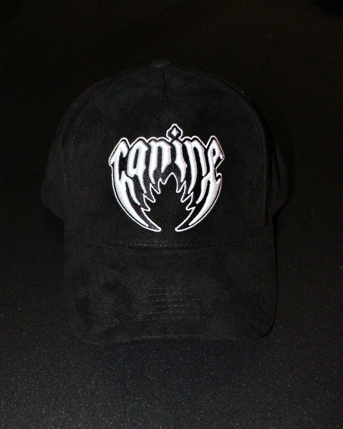 PLAIN JANE SNAPBACK HAT