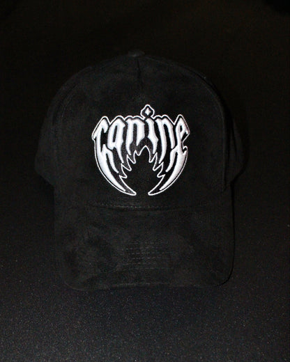 PLAIN JANE SNAPBACK HAT