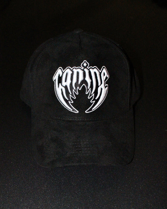 PLAIN JANE SNAPBACK HAT